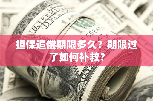 济南担保追偿期限多久？期限过了如何补救？