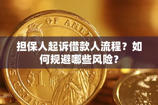 济南担保人起诉借款人流程？如何规避哪些风险？