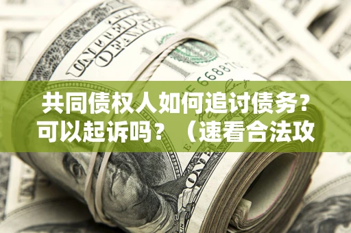 济南共同债权人如何追讨债务？可以起诉吗？（速看合法攻略）