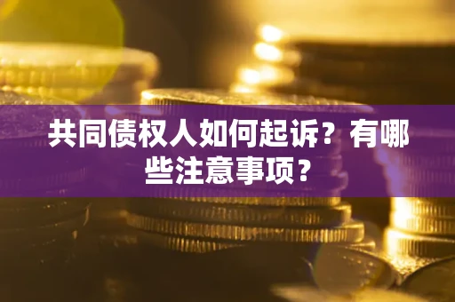 济南共同债权人如何起诉？有哪些注意事项？
